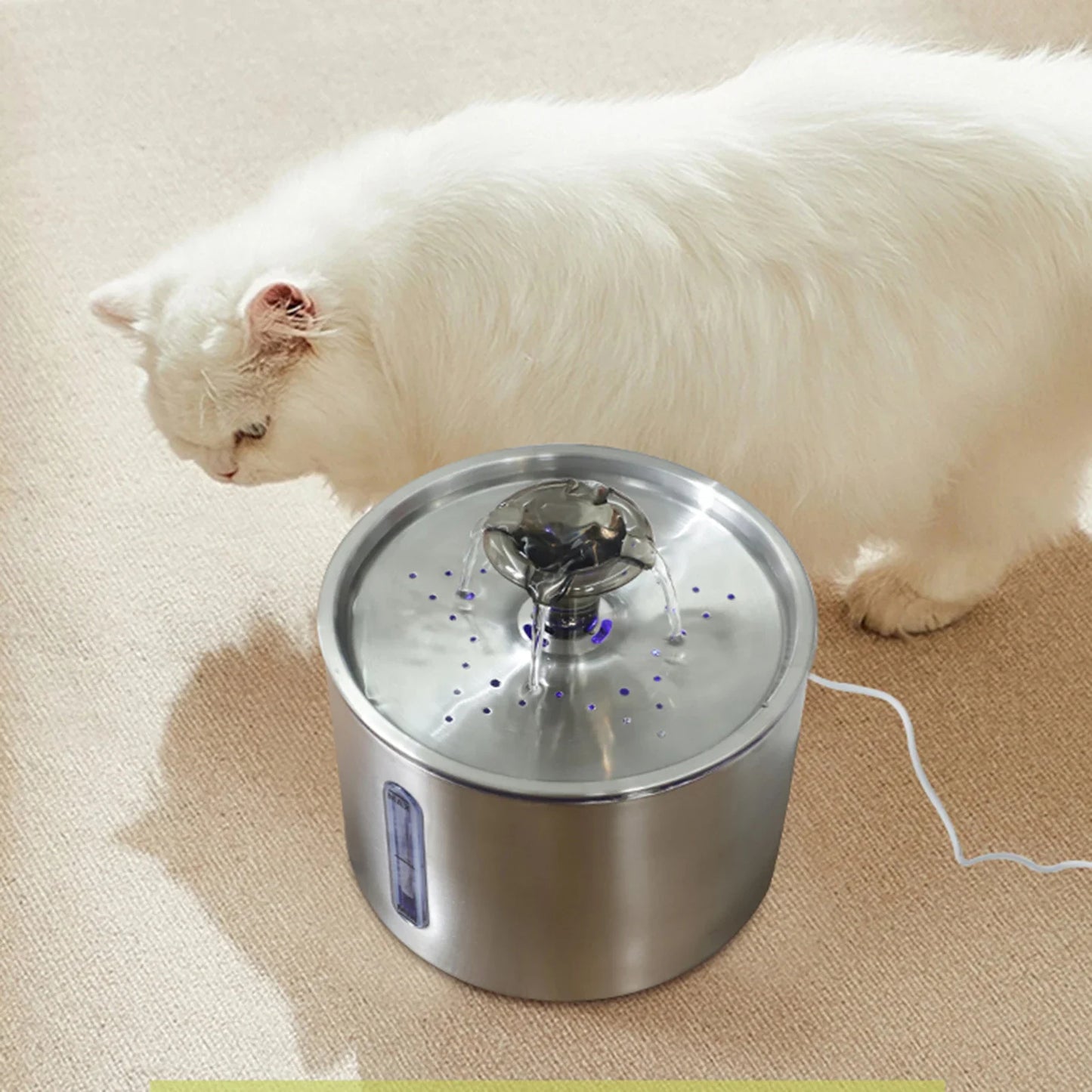 Fontaine A Eau Chat Réfrigérée