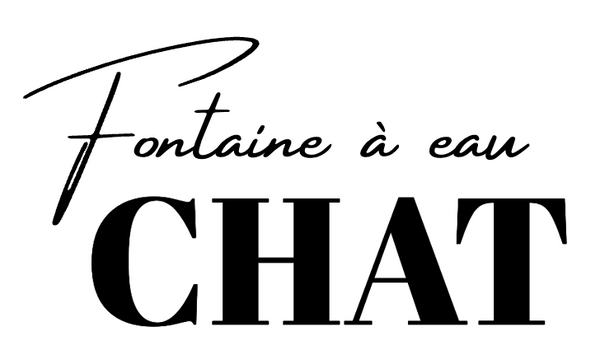 Fontaine A Eau Chat